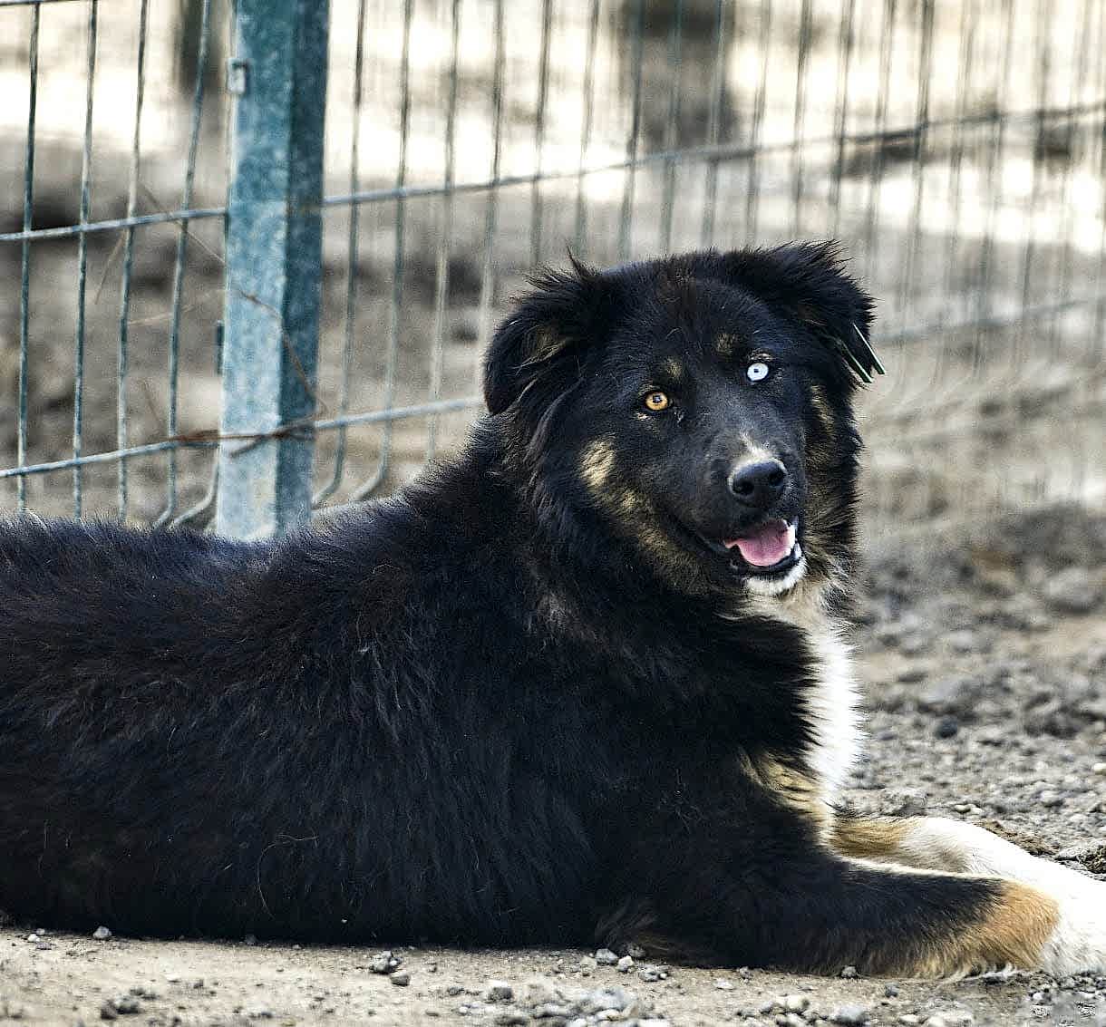 MERKÜR :)